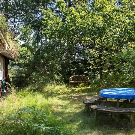Cozy In With Wifi Ferienhaus *